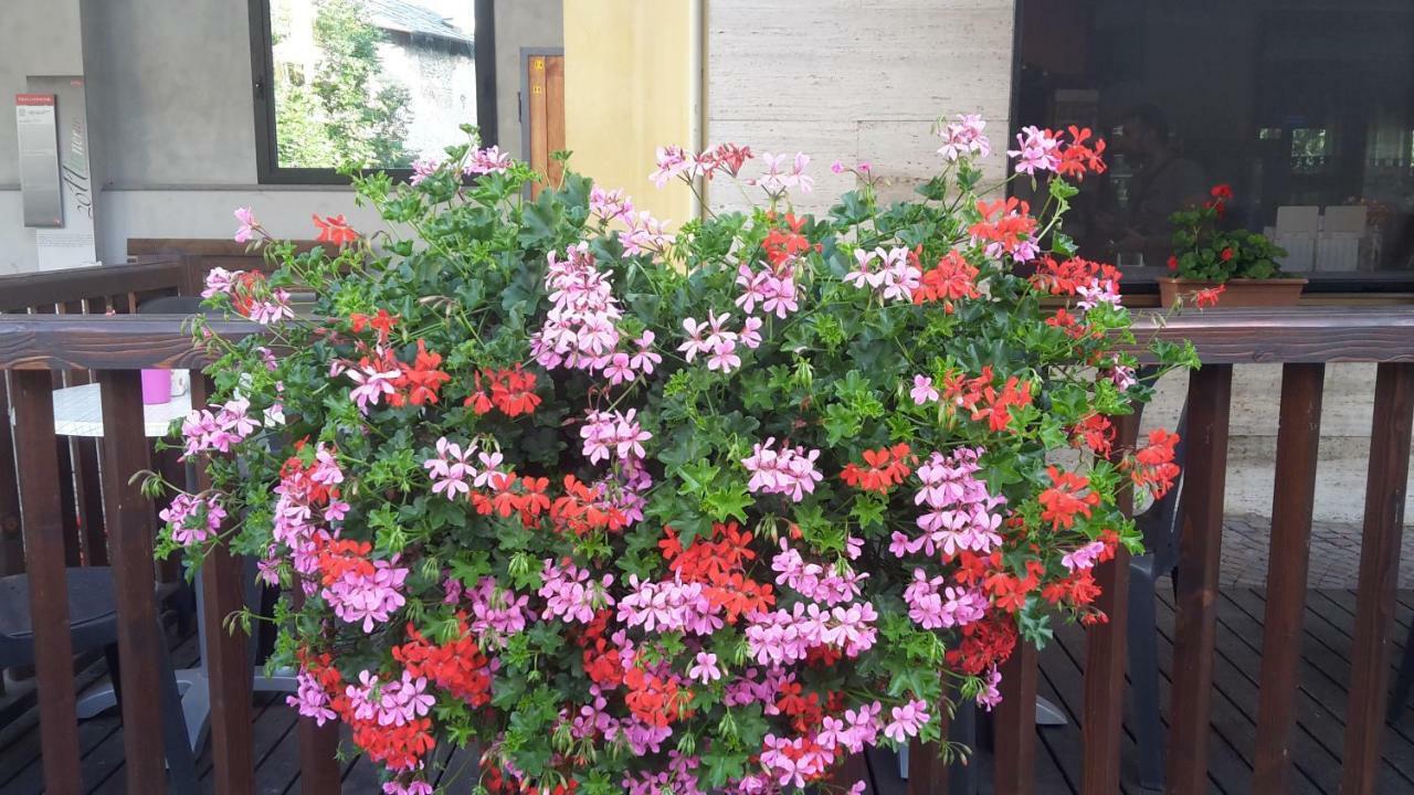 Albergo Ristorante Centro Vico Canavese Buitenkant foto